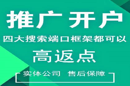 网络营销实战：案例分享竞价推广的秘诀